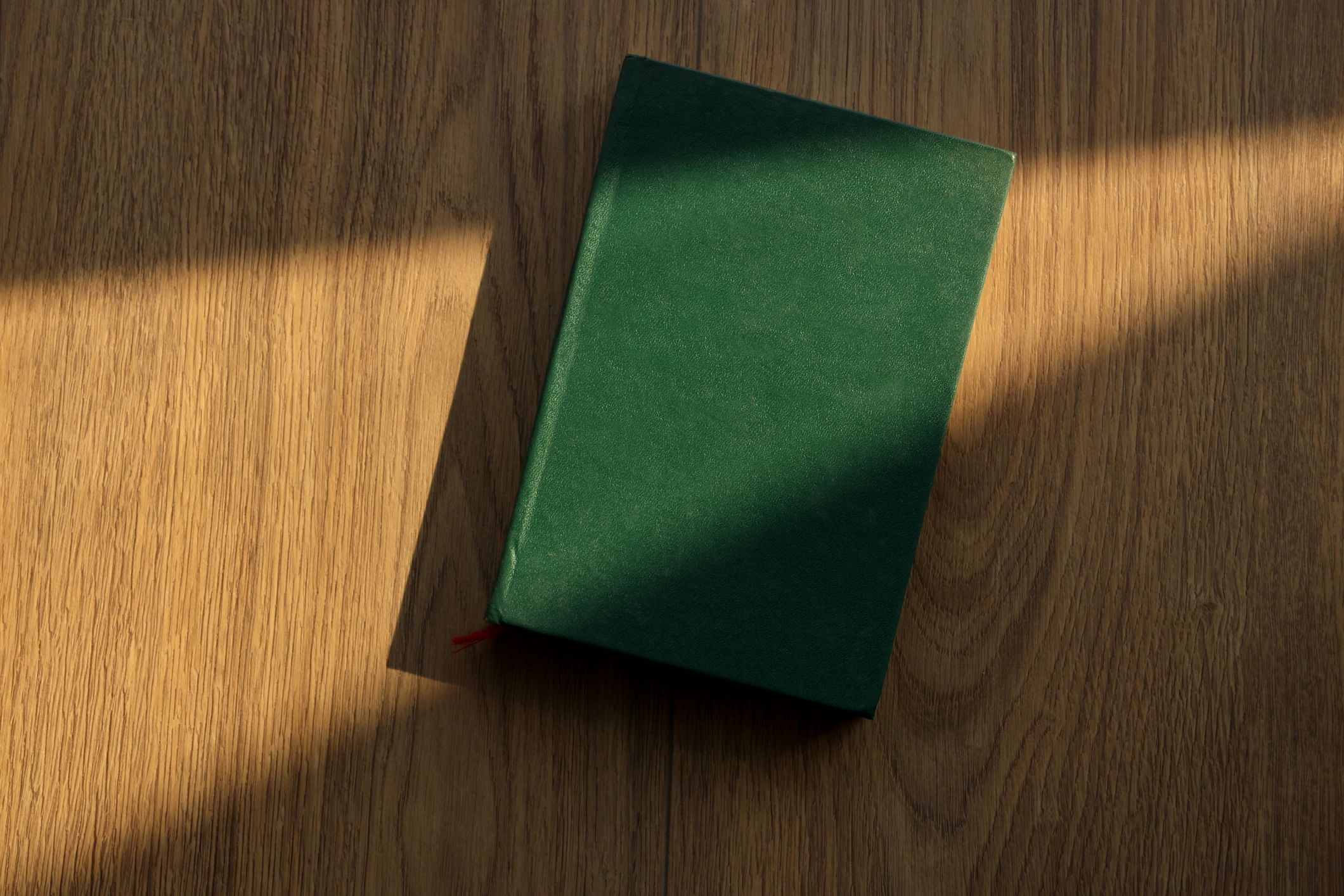 inspirational book cover neutral olive green